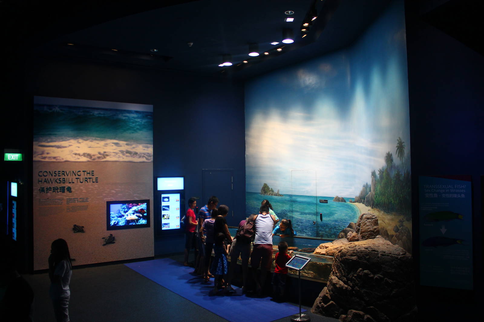 S.E.A. Aquarium - Strait of Malacca and Andaman Sea