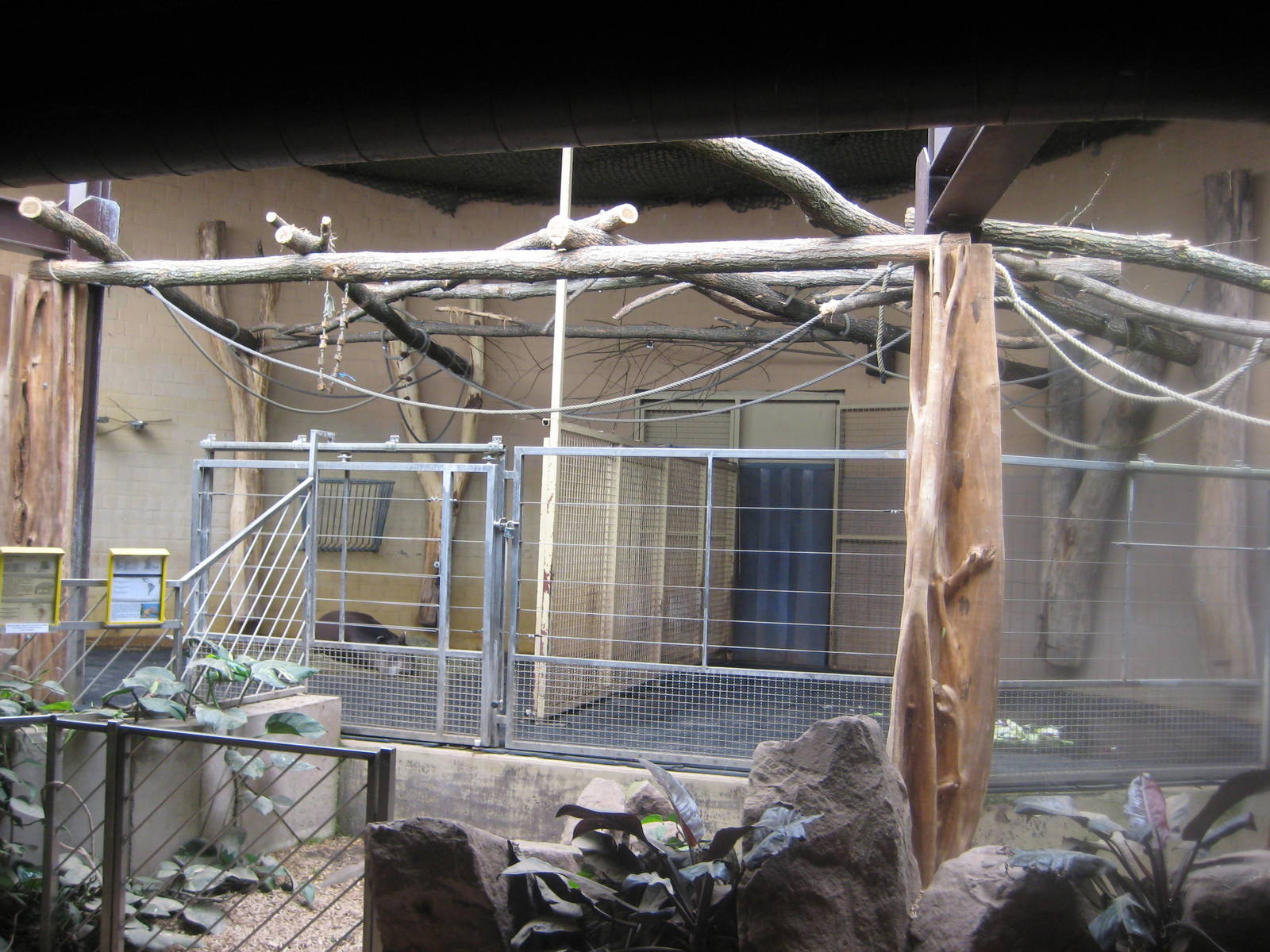 Saarbrücken Zoo-Inside Tapirhouse