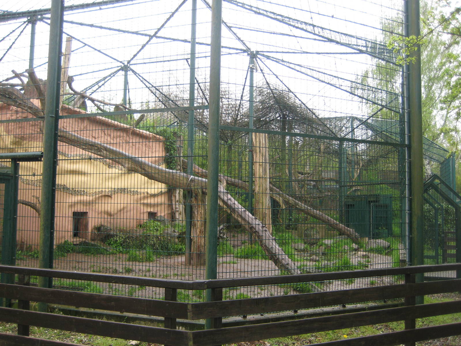 Saarbrücken zoo-Jaguar Exhibit 1