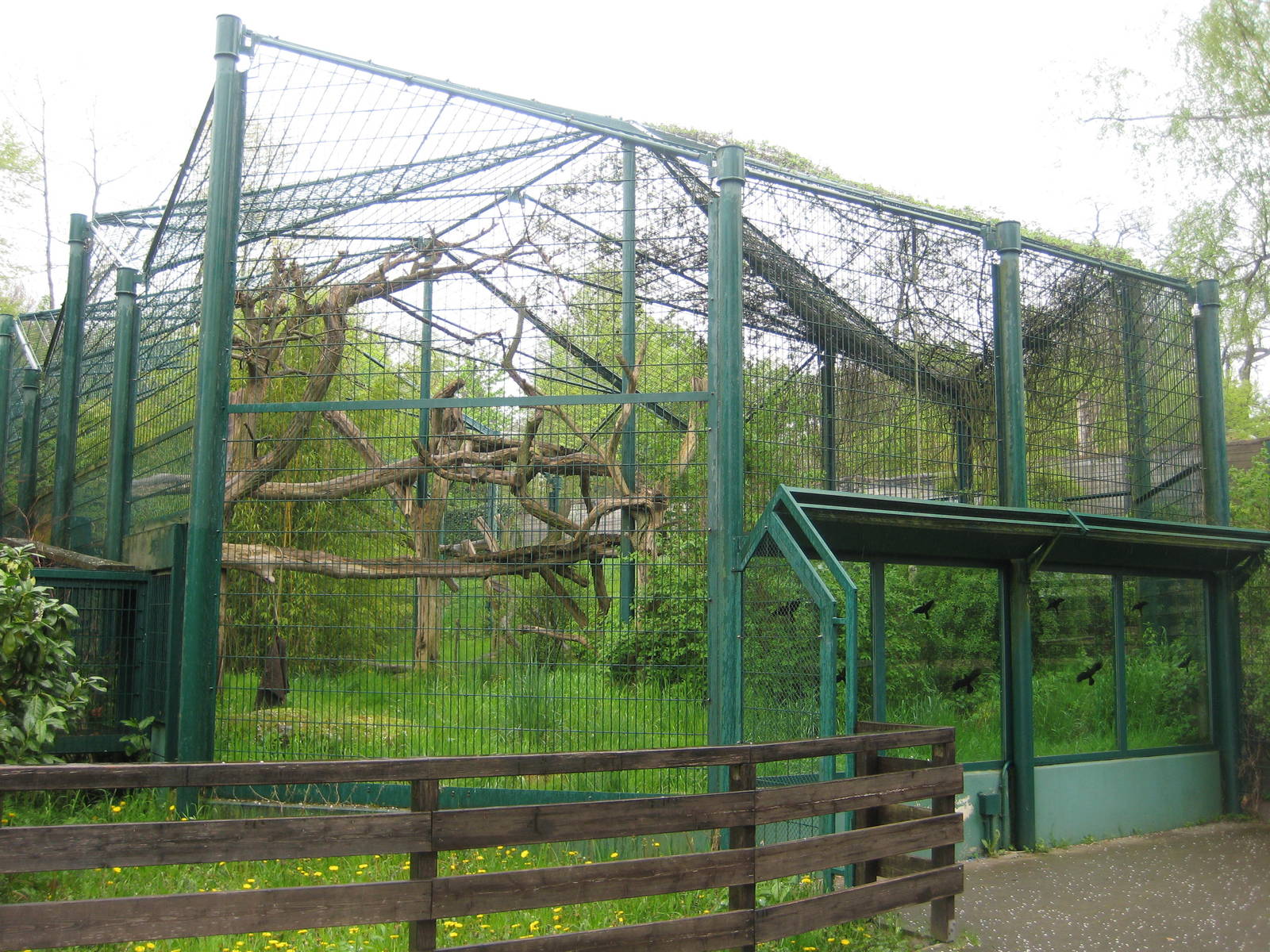 Saarbrücken zoo-Jaguar Exhibit 2