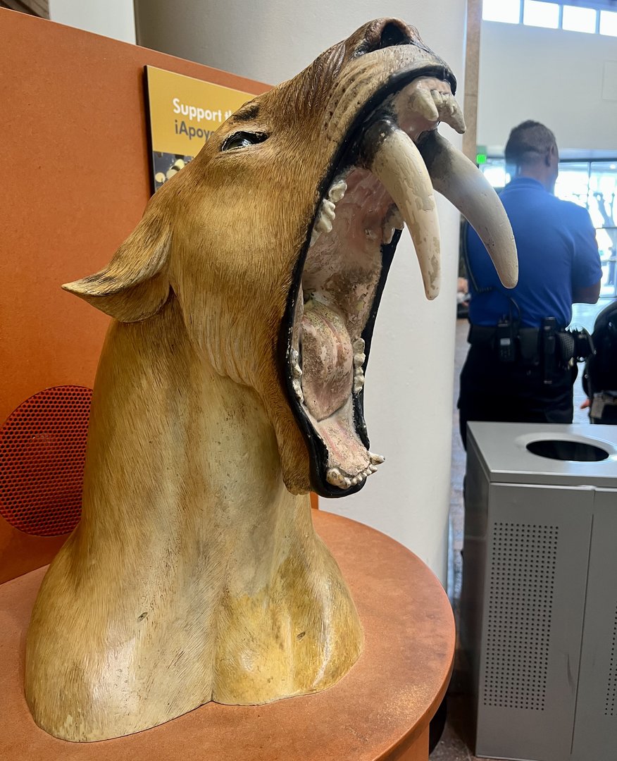 Saber-toothed Cat waste bin