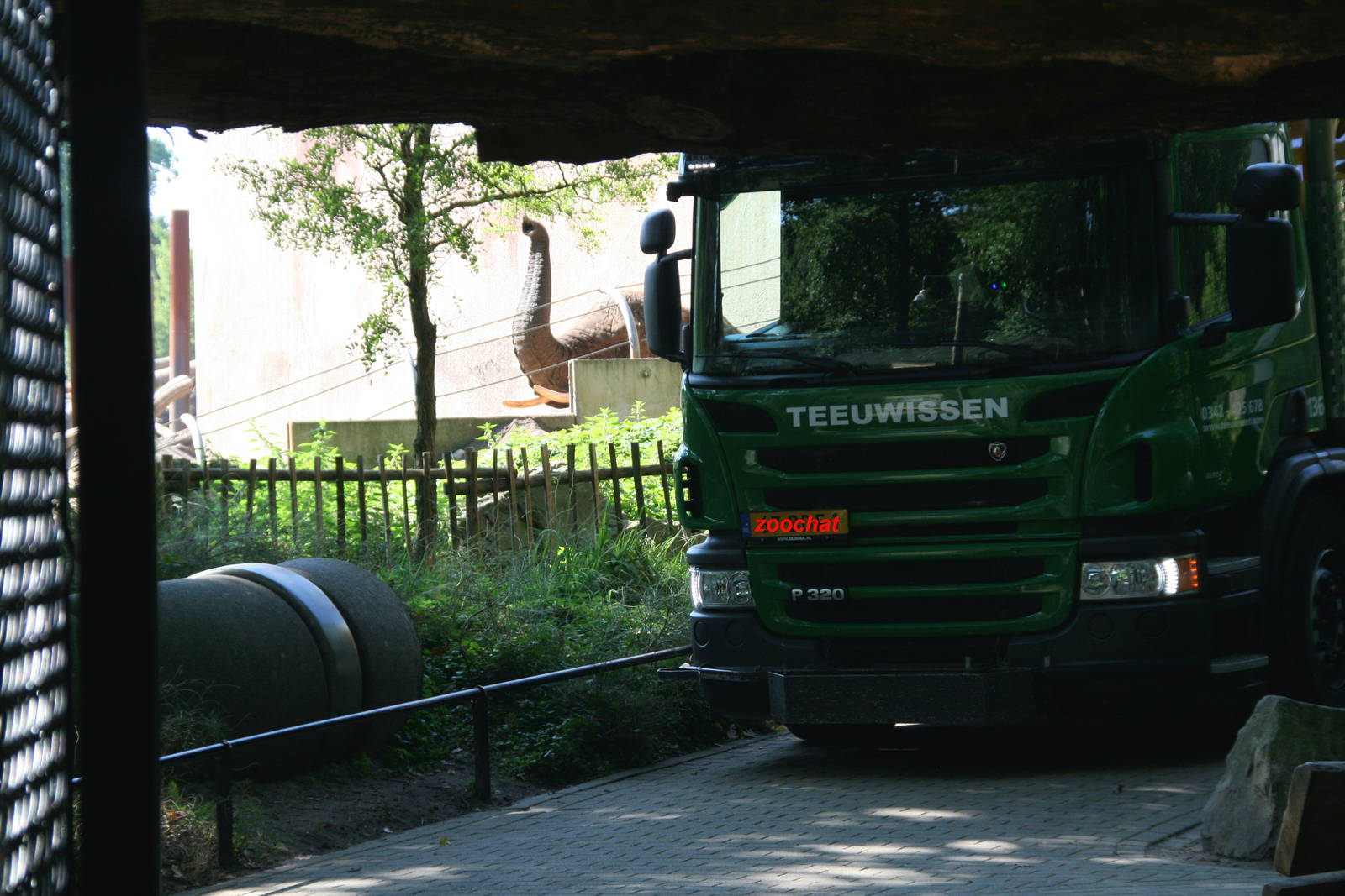 Sabi checking out  what's going on