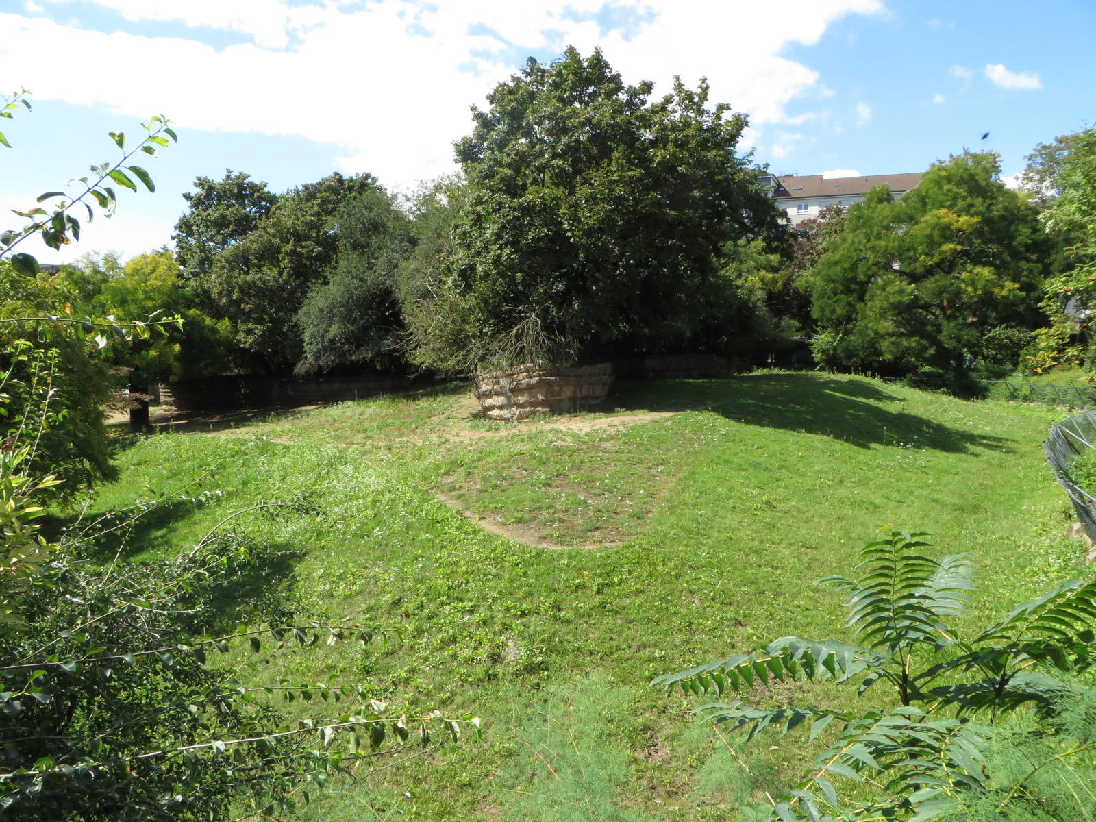Sable antelope enclosure