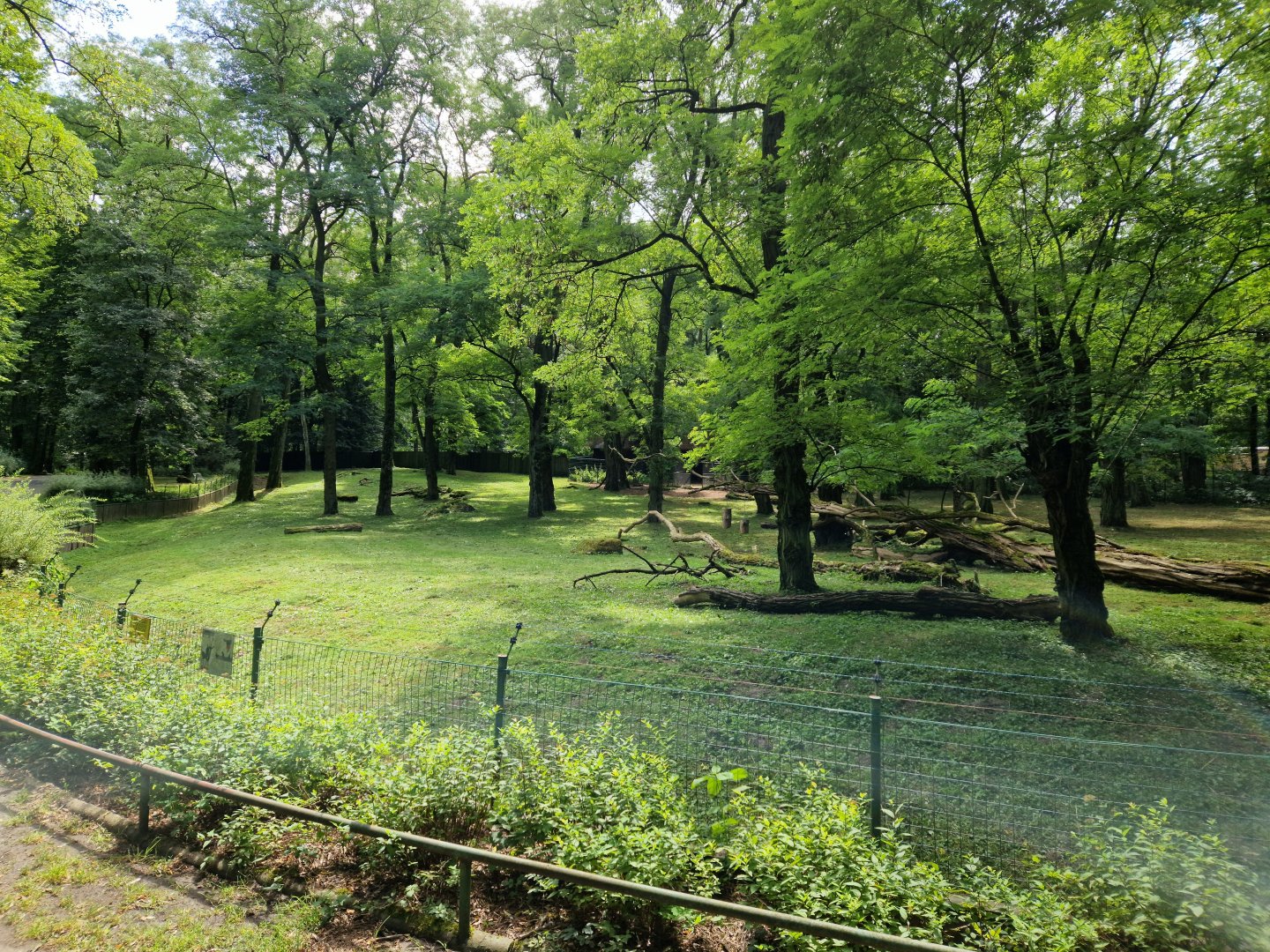 Sable antelope enclosure