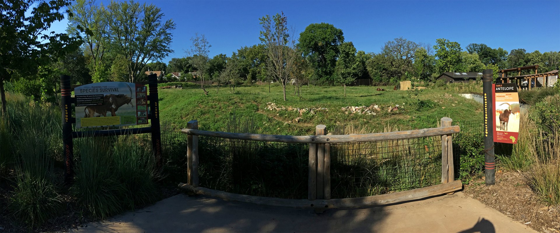 Sable Antelope Exhibit 2