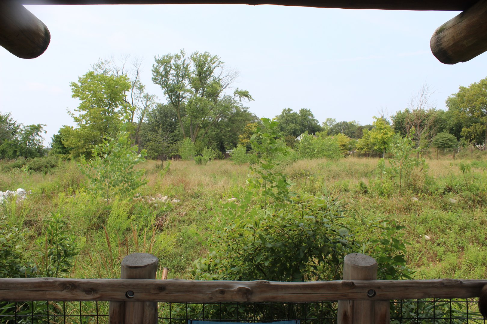 Sable Antelope Exhibit - African Grasslands