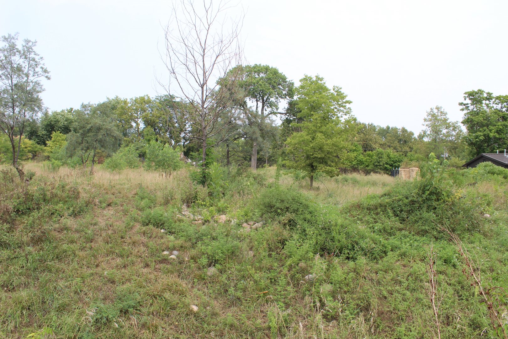 Sable Antelope Exhibit - African Grasslands