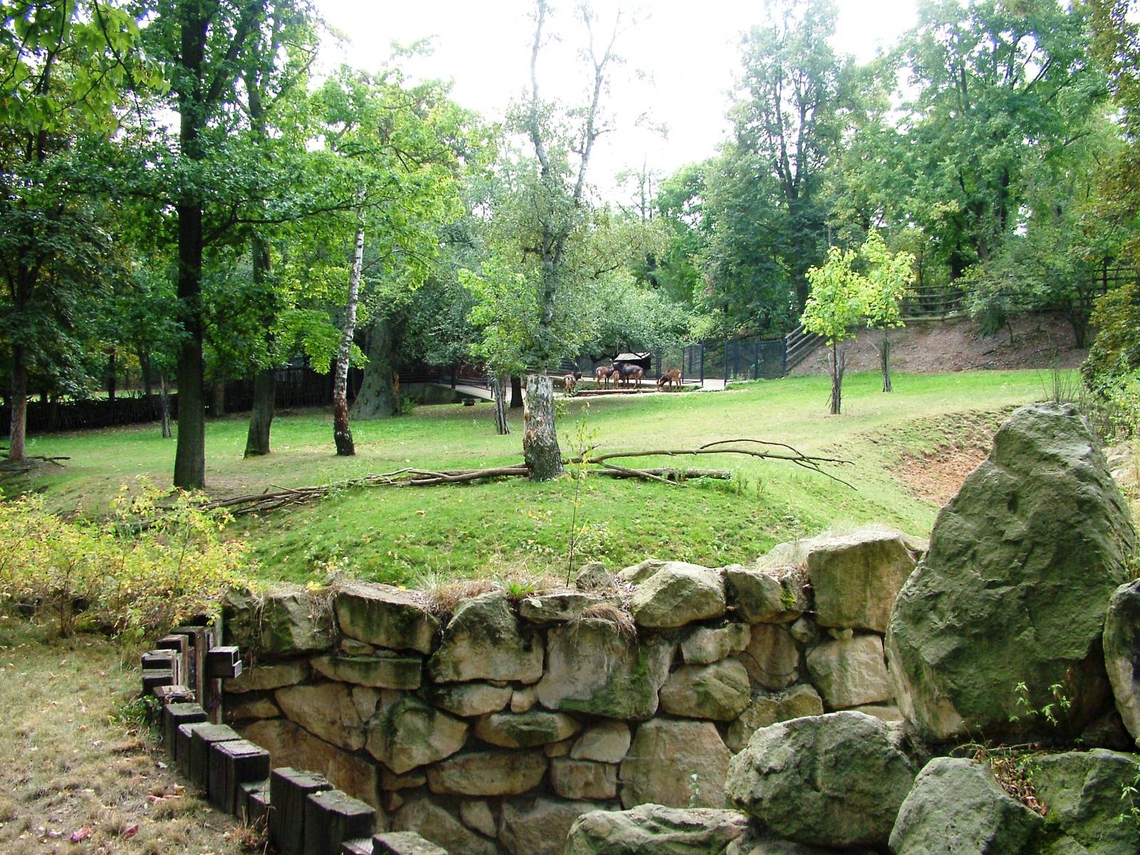 Sable Antelope Exhibit at Prague, 25/08/12