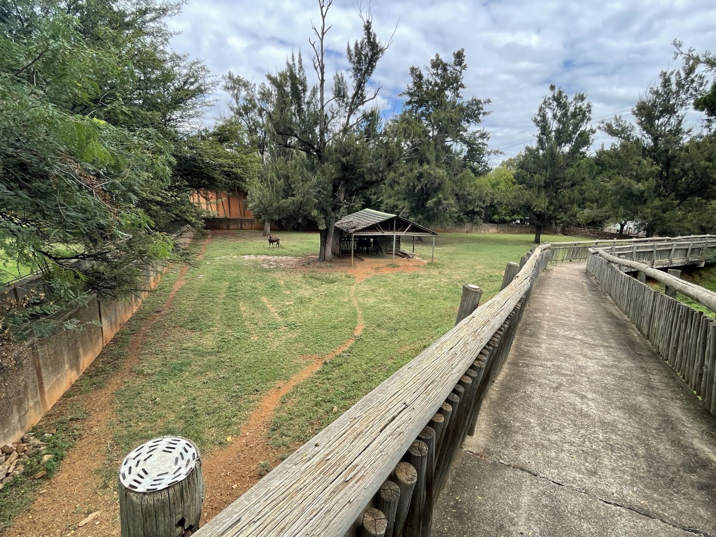 Sable Antelope Exhibit (Hippotragus niger)