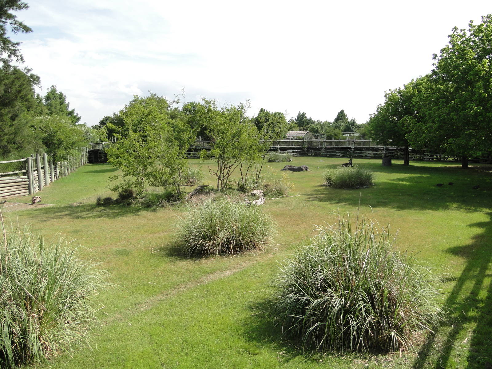 Sable Antelope exhibit