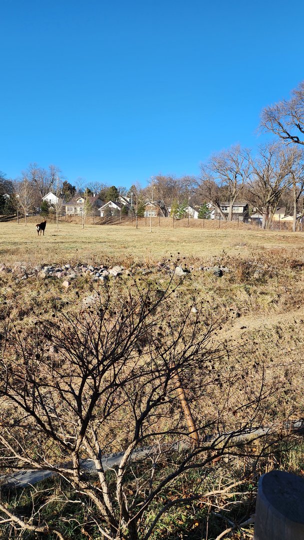 Sable Antelope Exhibit