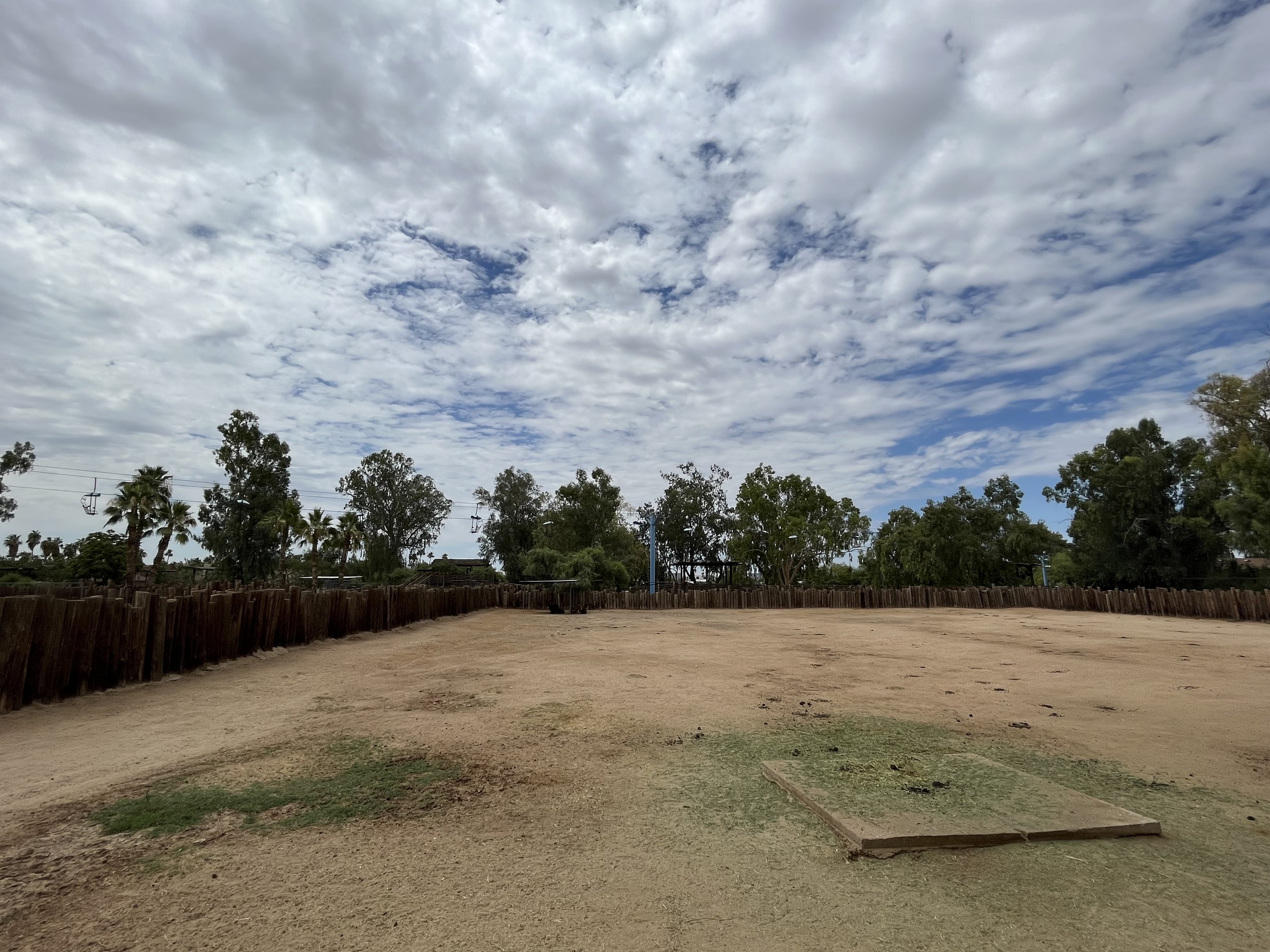 Sable Antelope Exhibit
