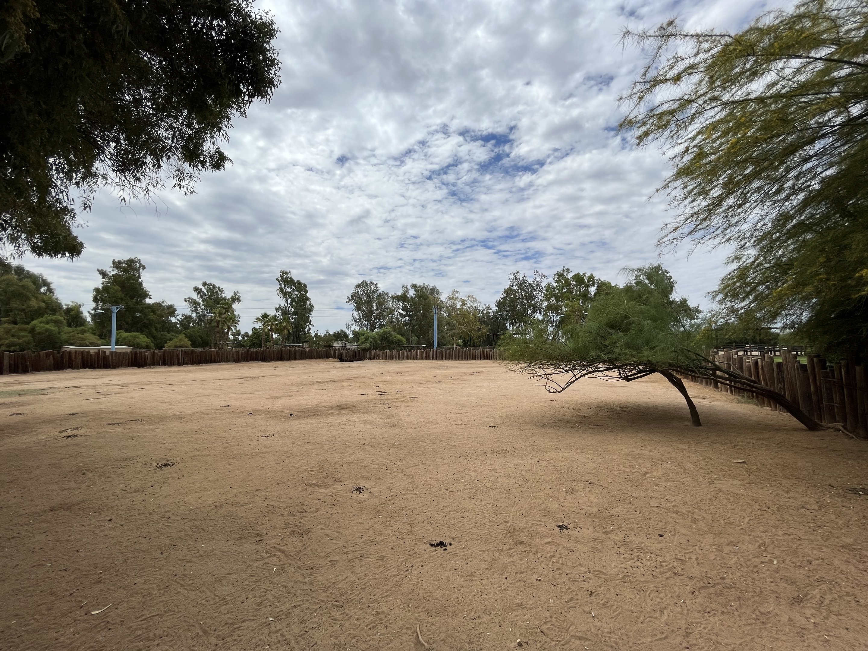 Sable Antelope Exhibit