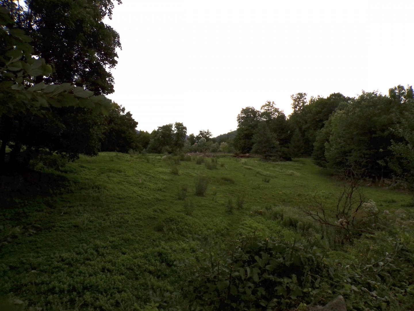Sable antelope, Red lechwe and White rhino savannah 13.7.25