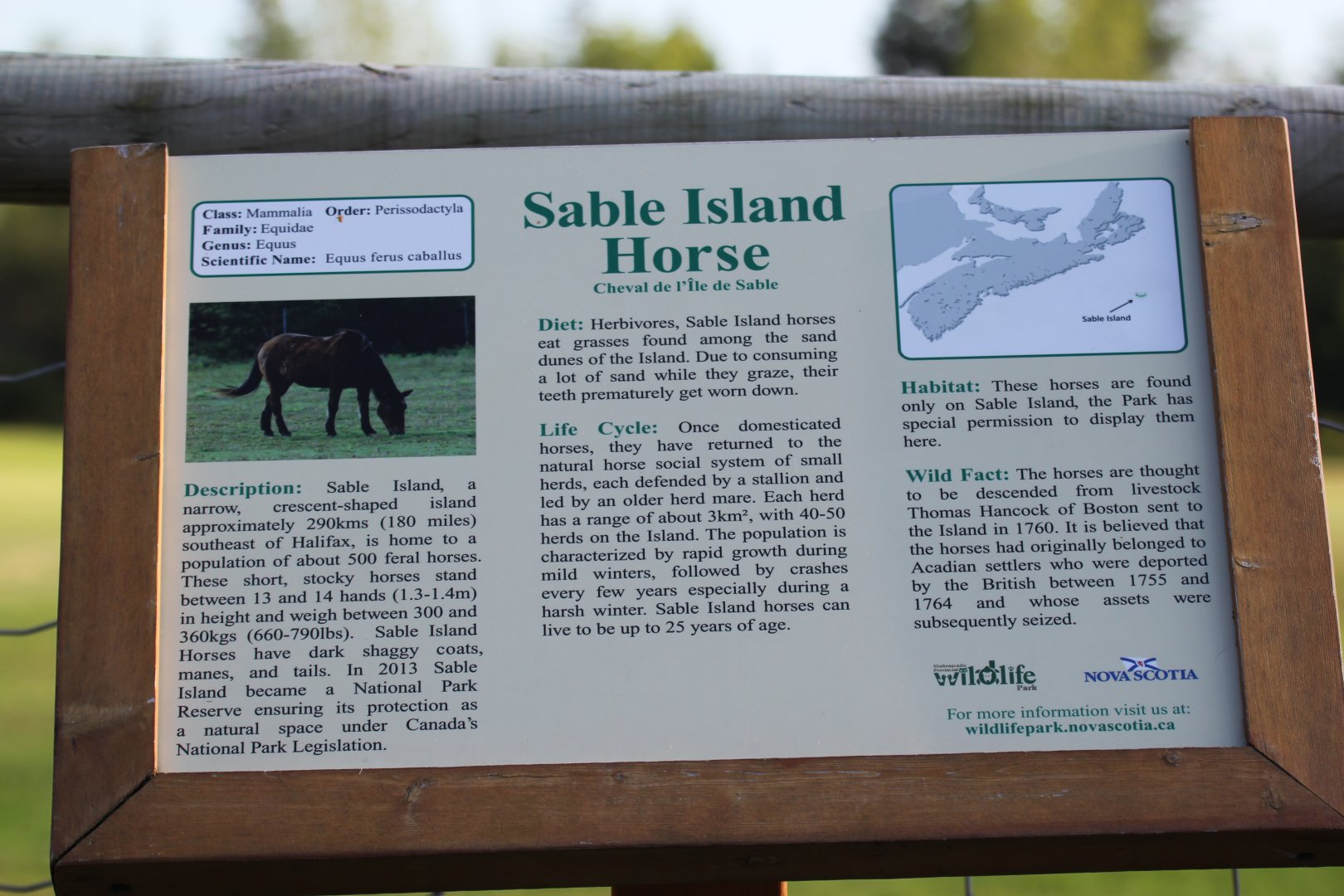 Sable Island Horse Sign
