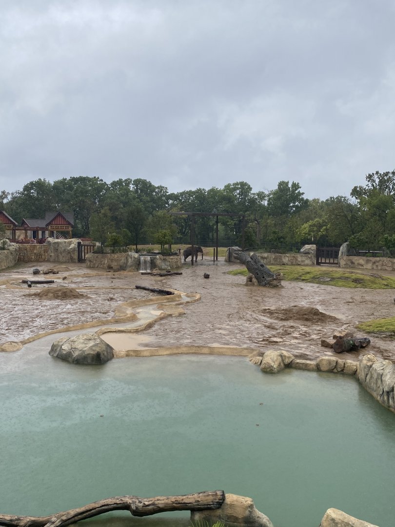Sabu and Main Elephant Yard