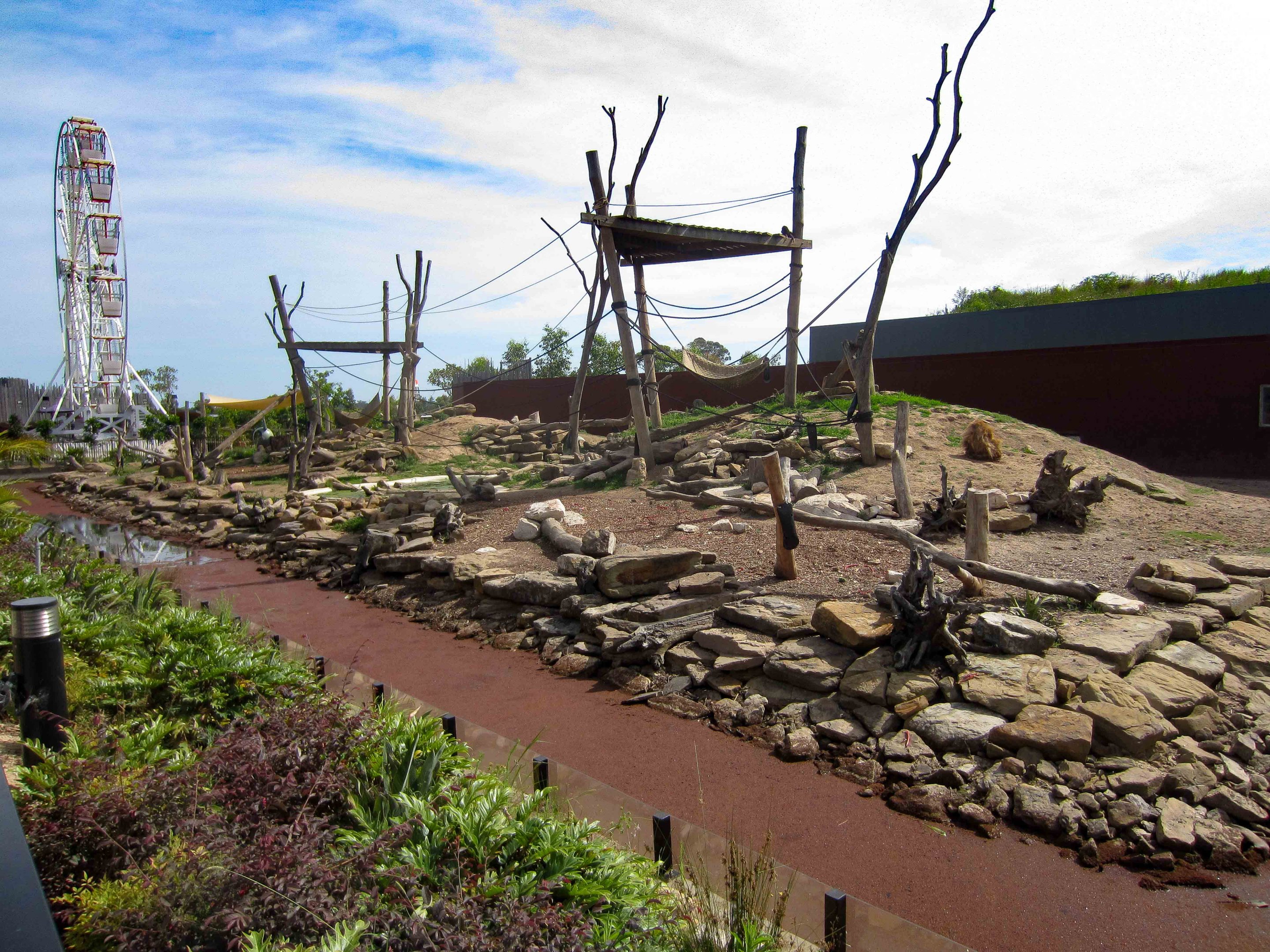 Sacred Baboon Enclosure