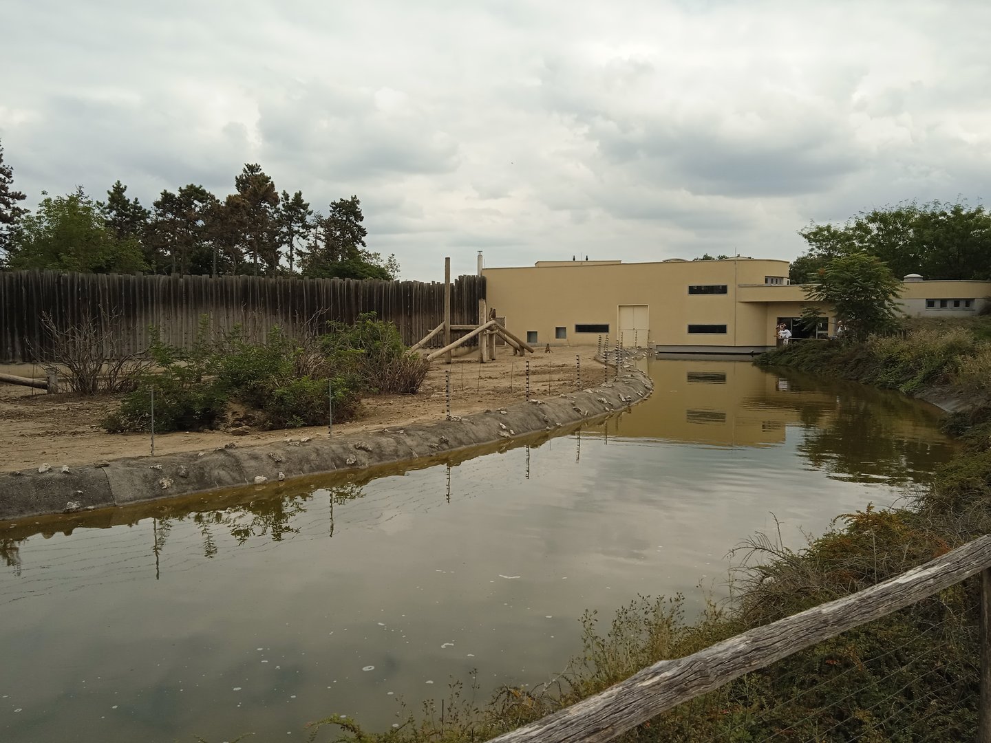 Sacred baboon exhibit (built for chimps)