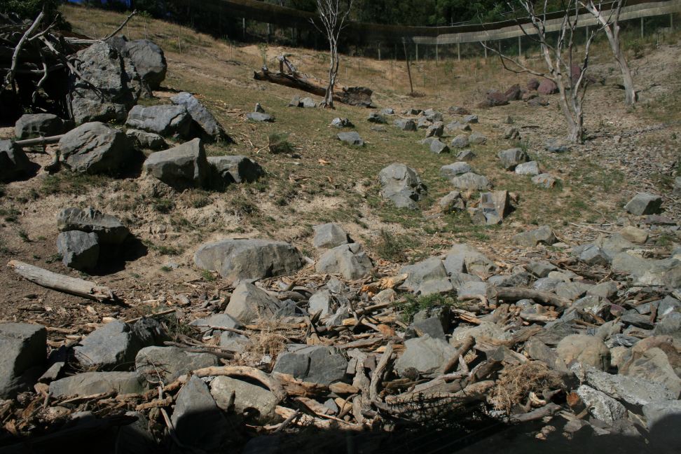 Sacred Baboon exhibit