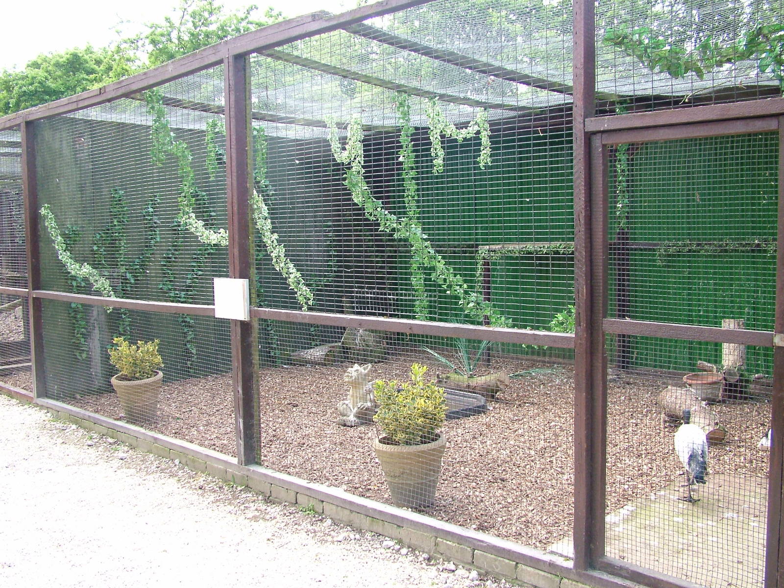 Sacred Ibis aviary at Wetlands WP 25/04/09