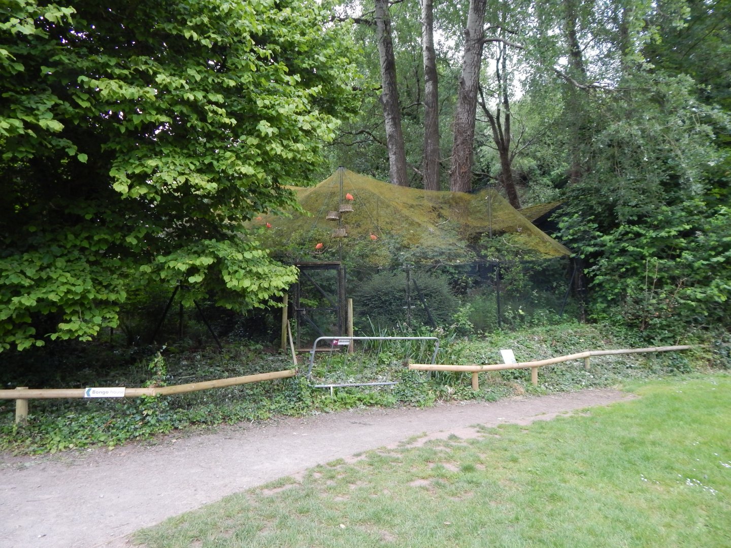 Sacred ibis exhibit 130624