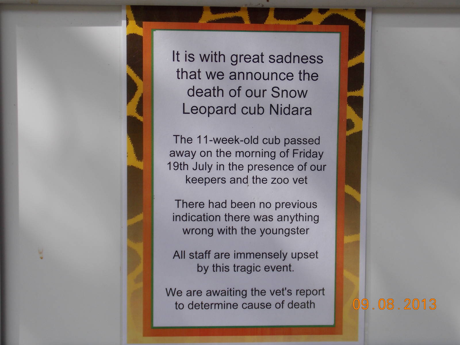 Sad Snow Leopard Sign