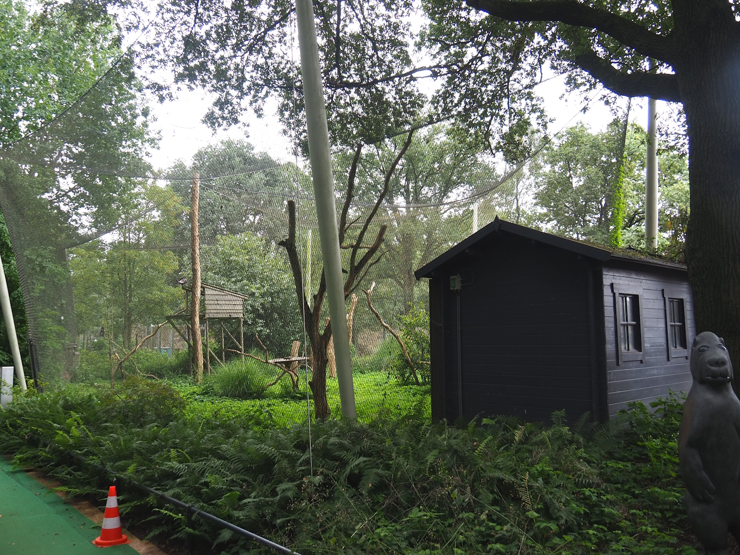 Saddle-billed stork aviary, 2023-08-17