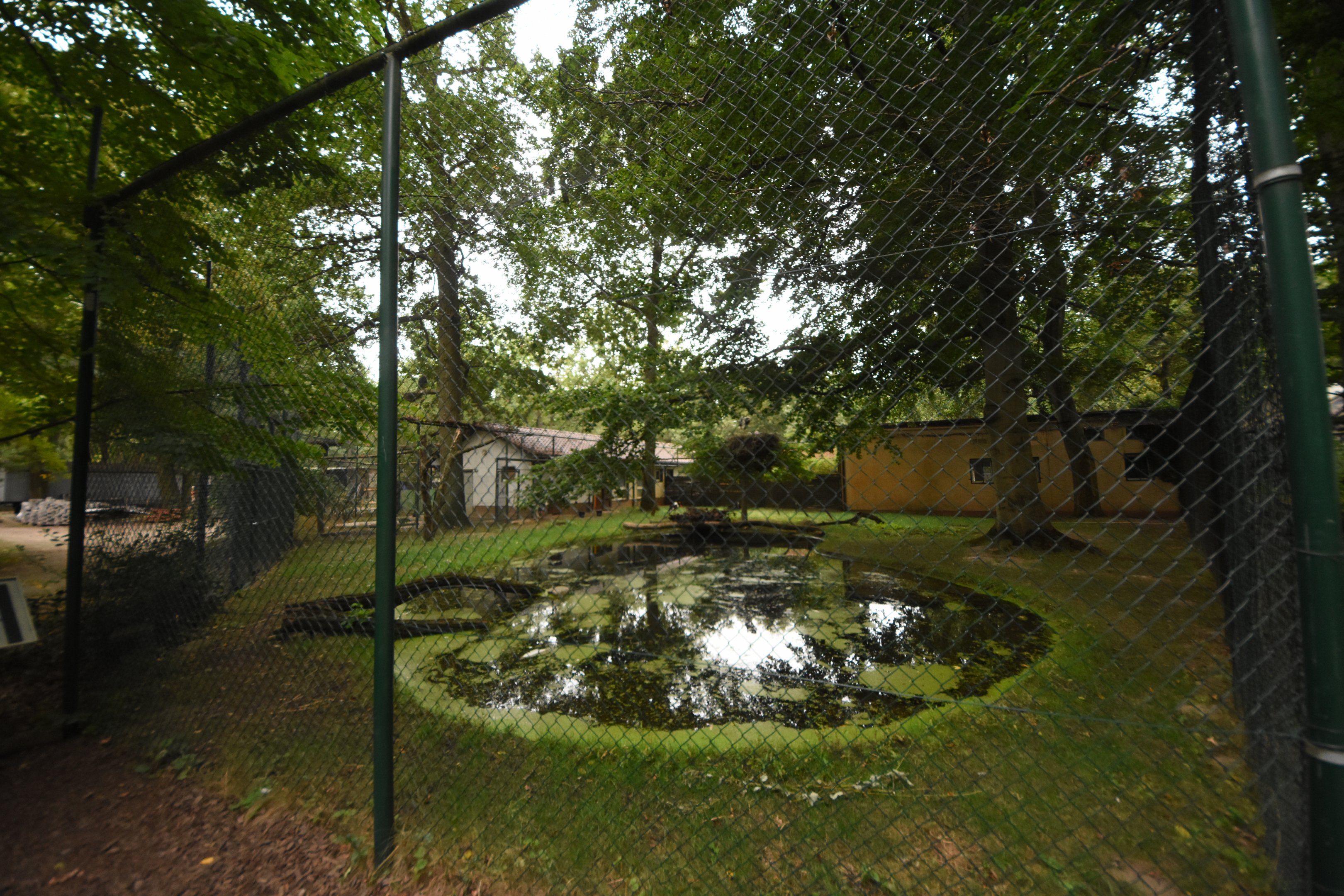 Saddle-billed stork aviary