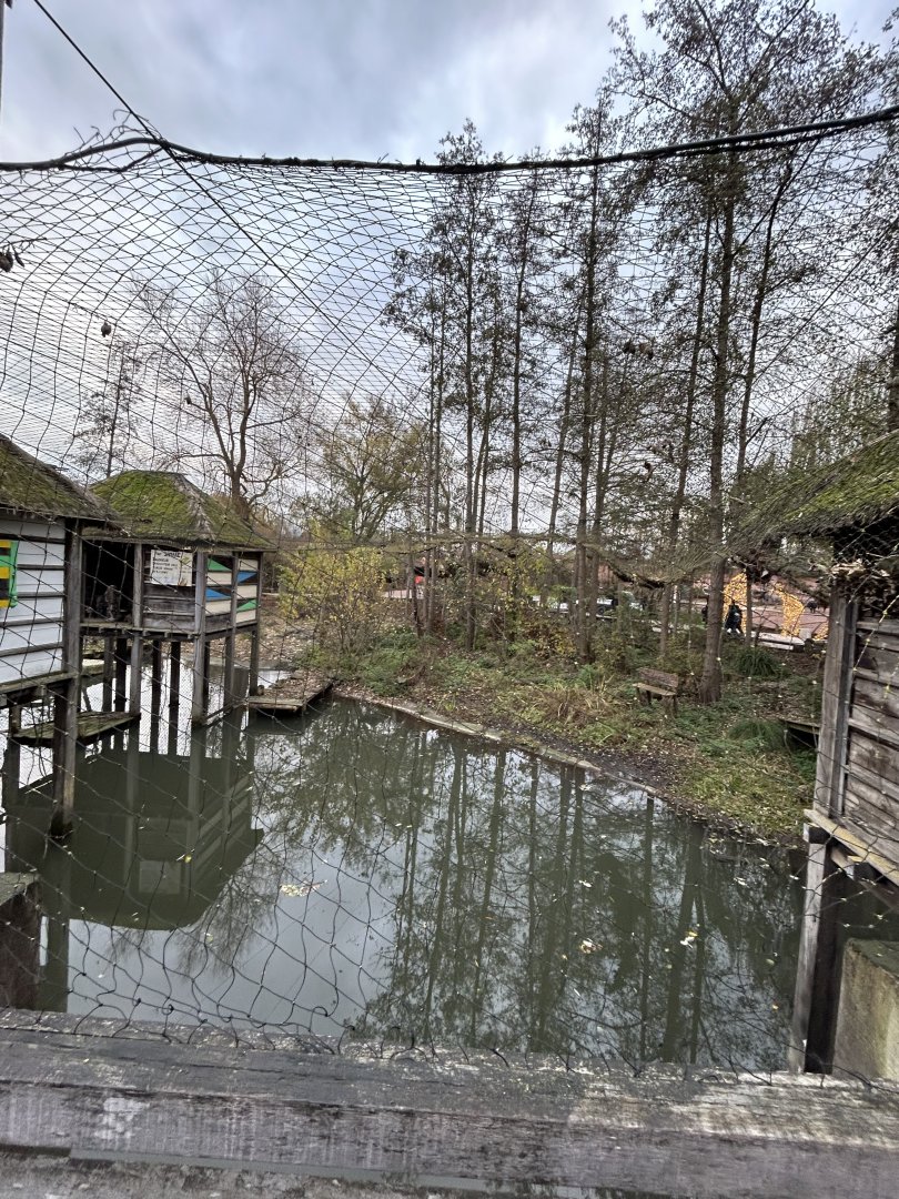 Saddle-billed stork aviary