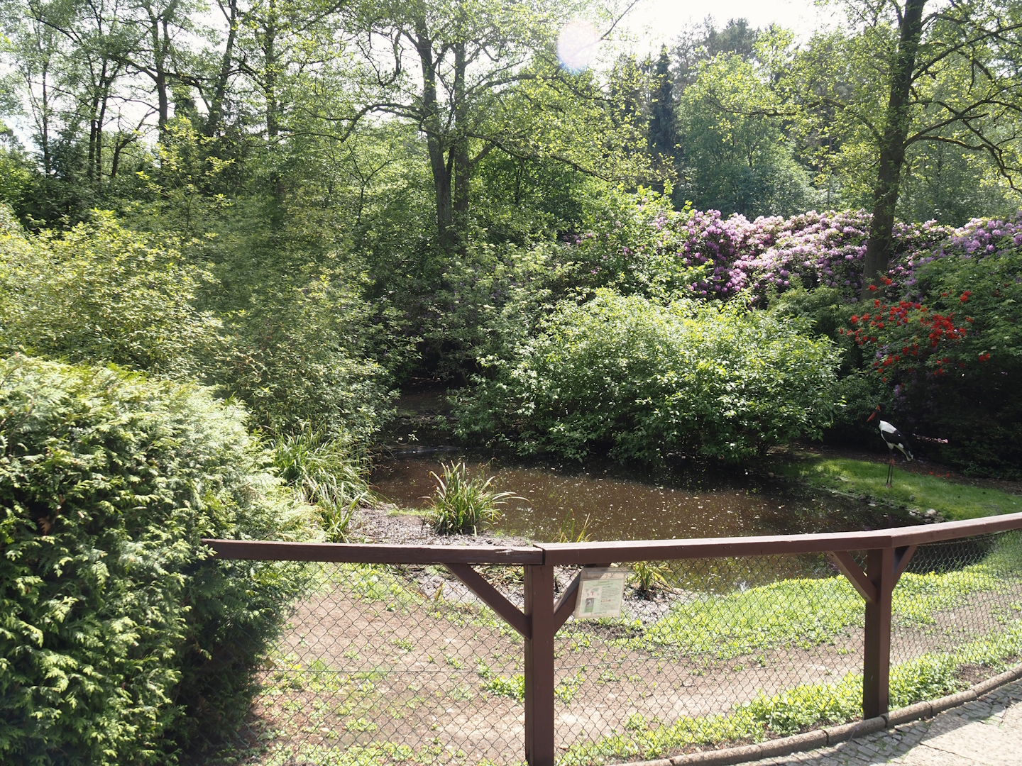 Saddle-billed stork exhibit, 2024-05-21