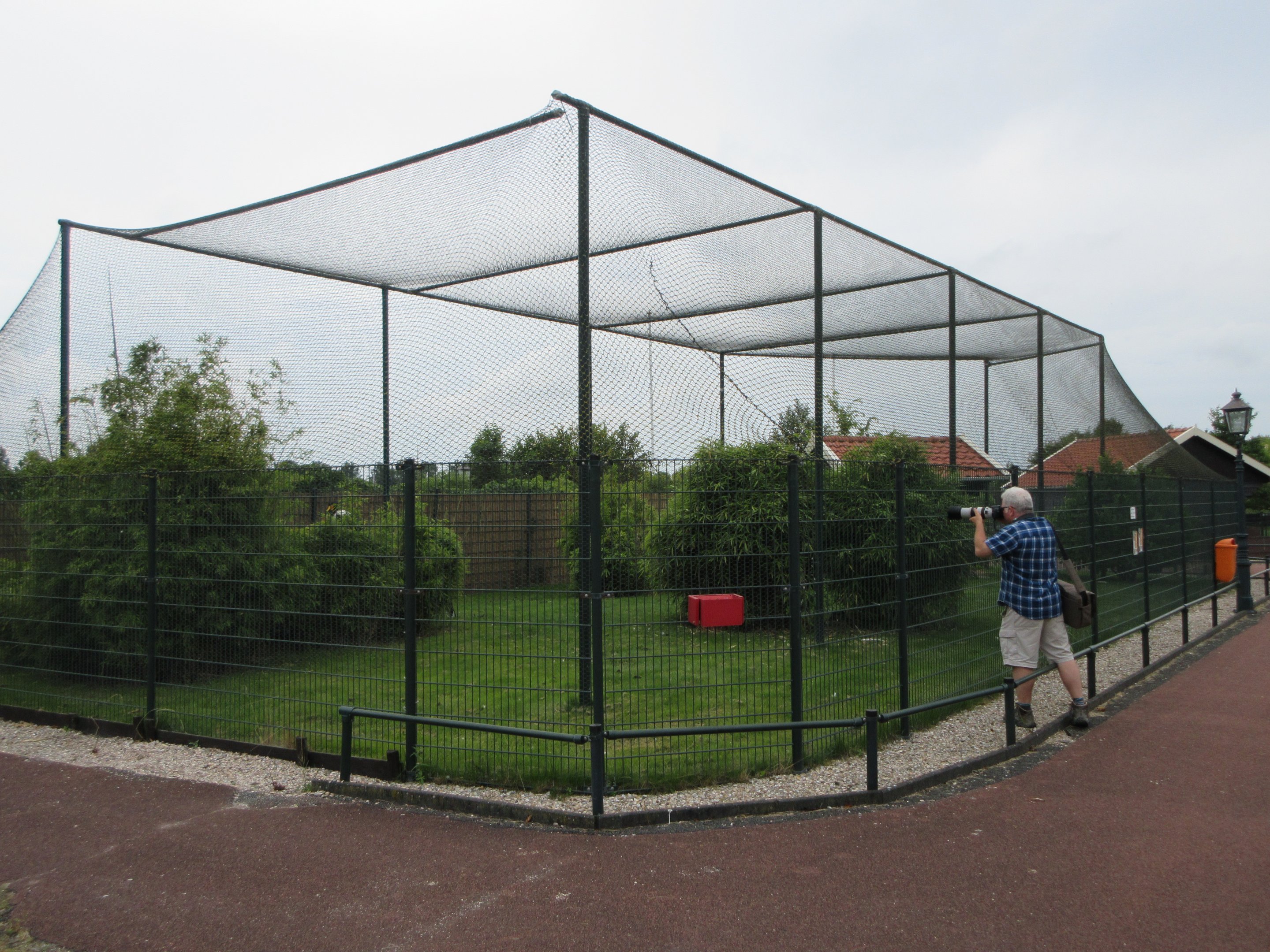 Saddle-billed Stork Exhibit + Zoo Nerd