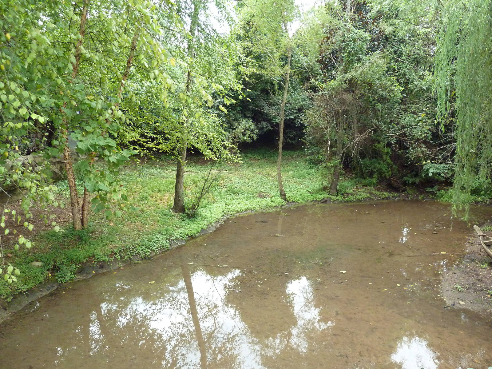 Saddle-Billed Stork Exhibit