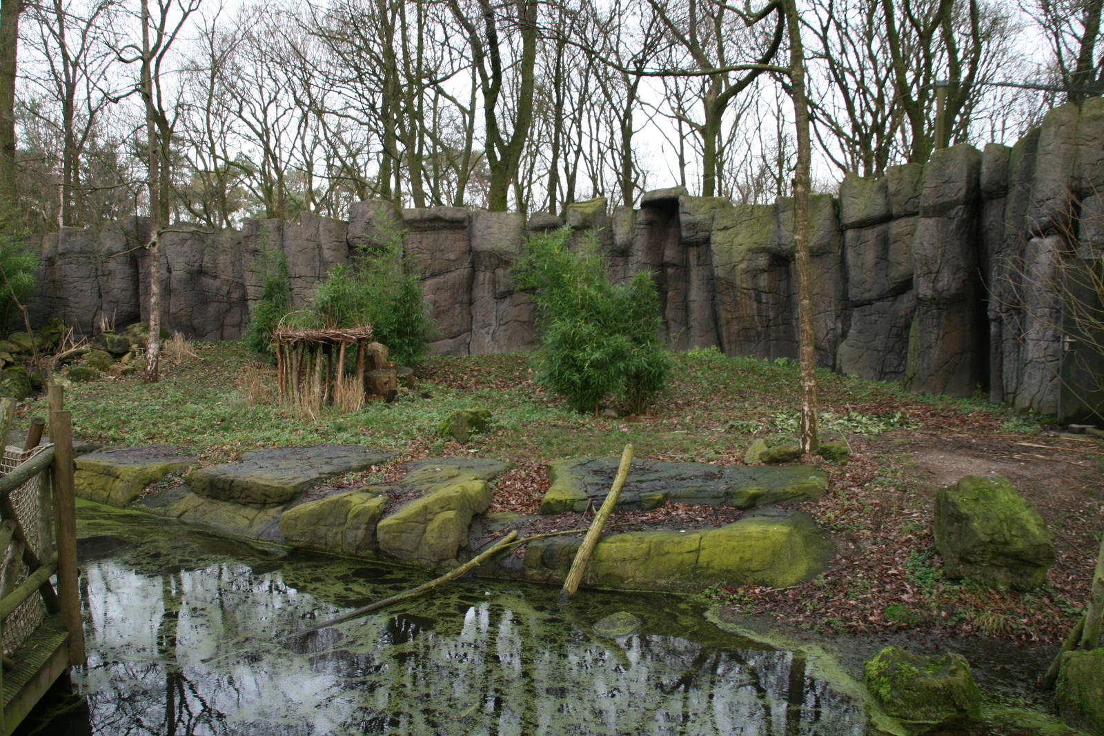 Saddle-billed Stork exhibit