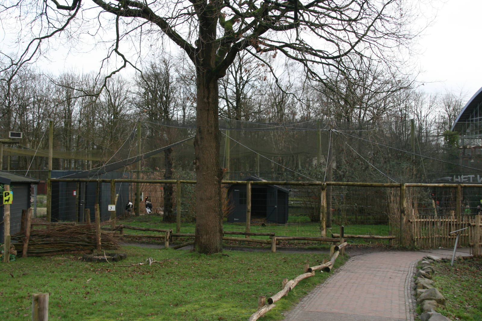 Saddle-billed stork exhibit