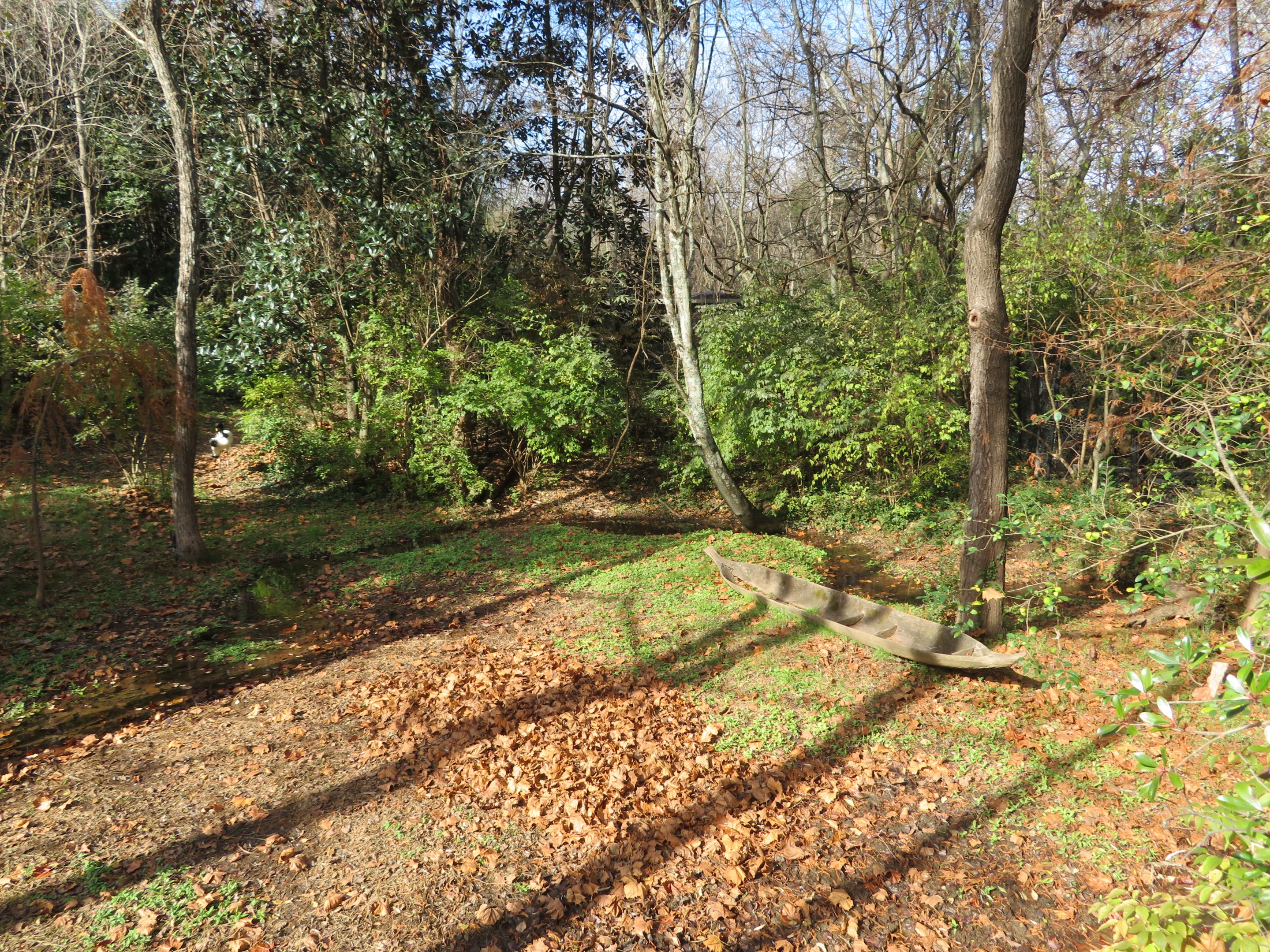 Saddle-billed Stork Exhibit