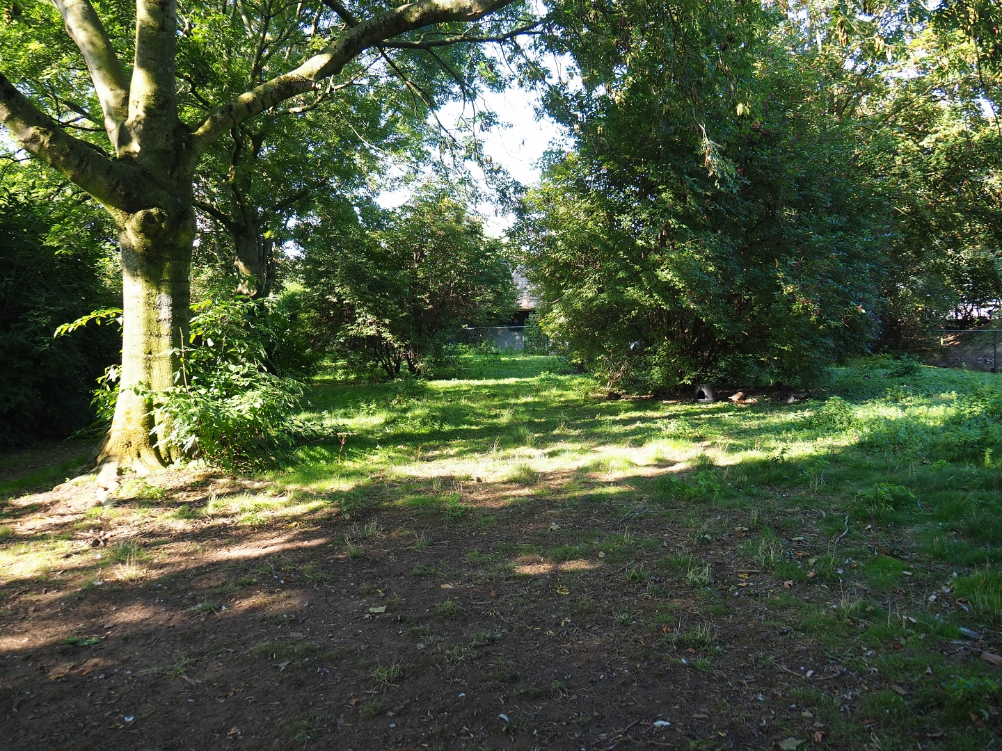 Saddle-billed stork - Grey crowned crane - Waterfowl exhibit (Sep 2nd, 2018)