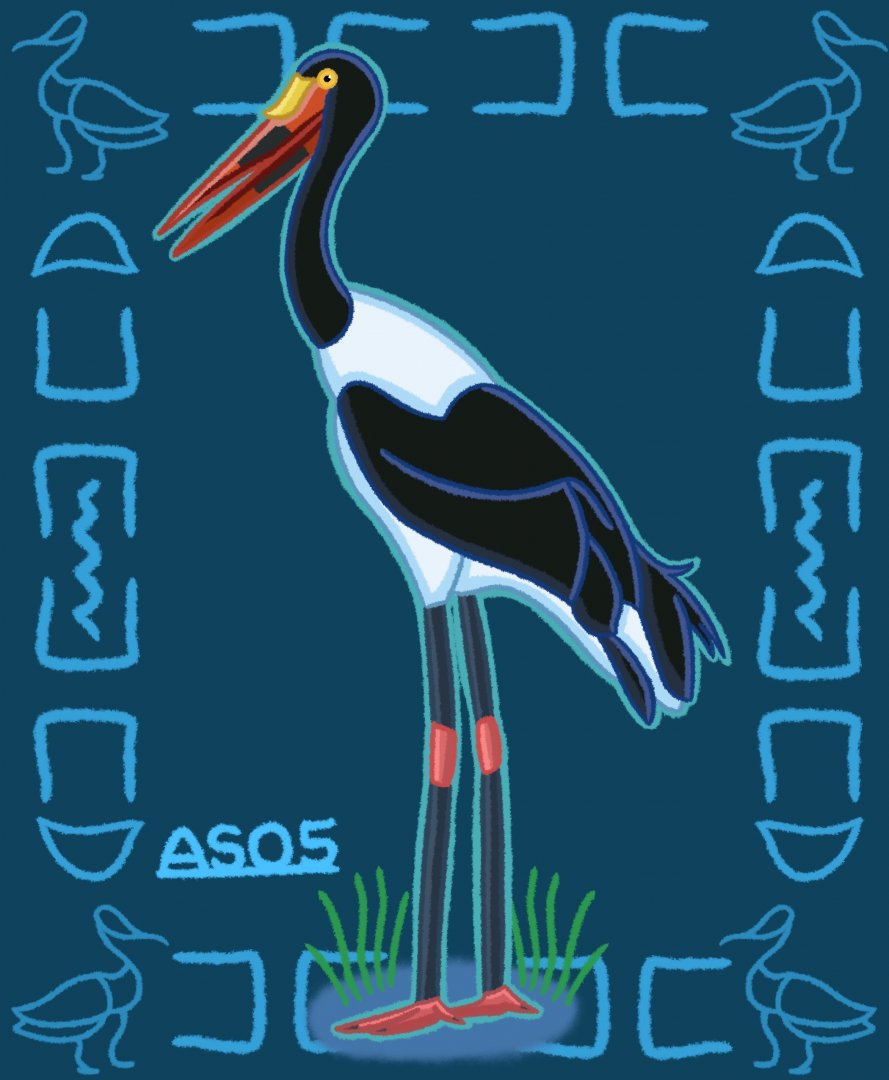 Saddle-Billed Stork