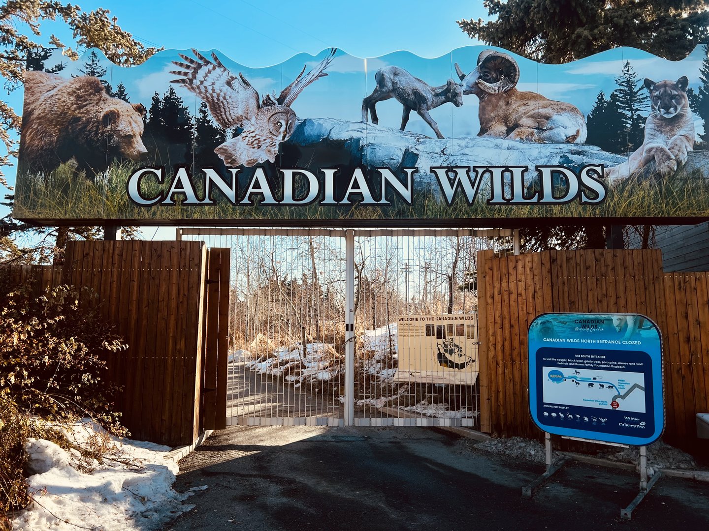 Sadly all of the hoofstock (except the Moose) was off view.