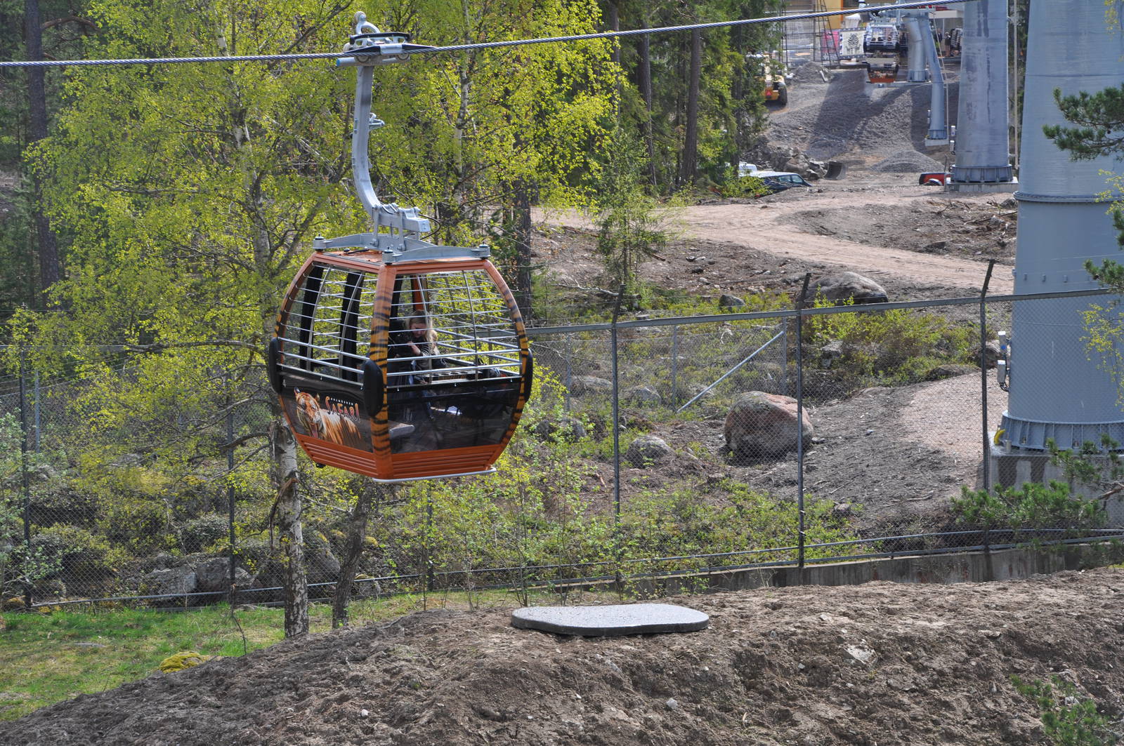 SAFARI 2011 - Close to the lions
