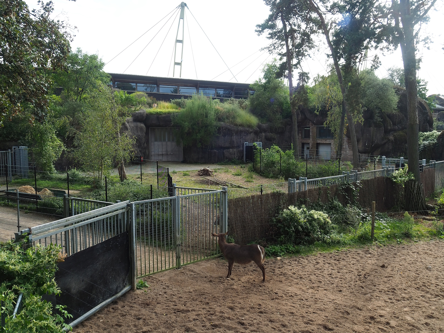 Safari - Access road to savanna paddock and separation paddocks next to stable building, 2023-10-07