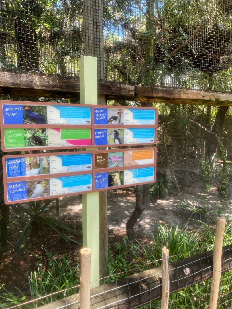 Safari Africa- Aviary (8 species)