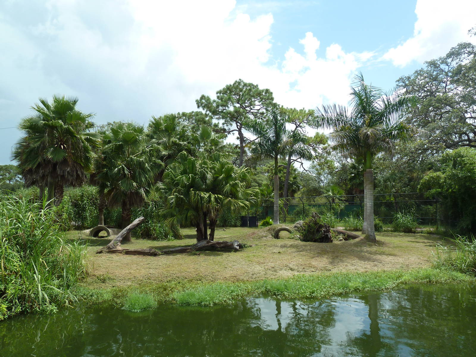 Safari Africa - Cheetah Exhibit