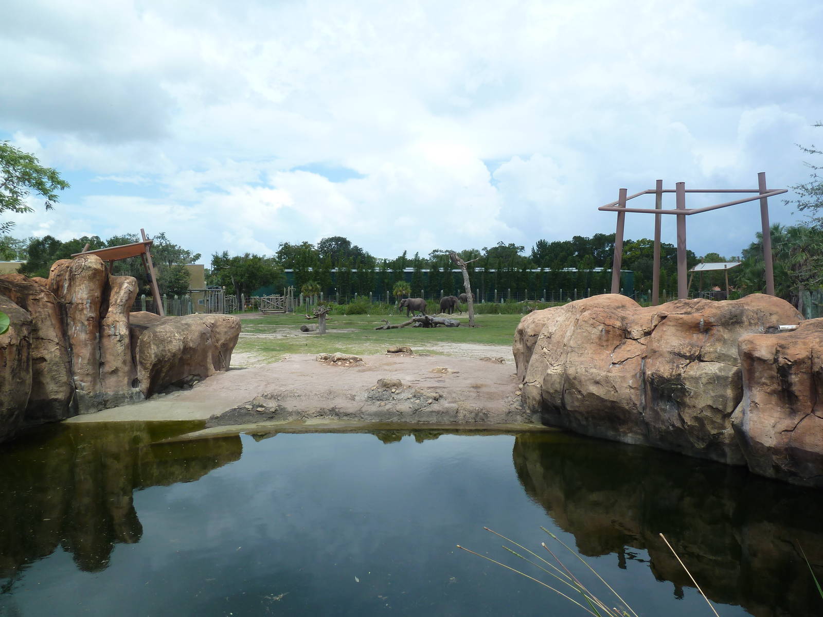 Safari Africa - Elephant/Impala Exhibit