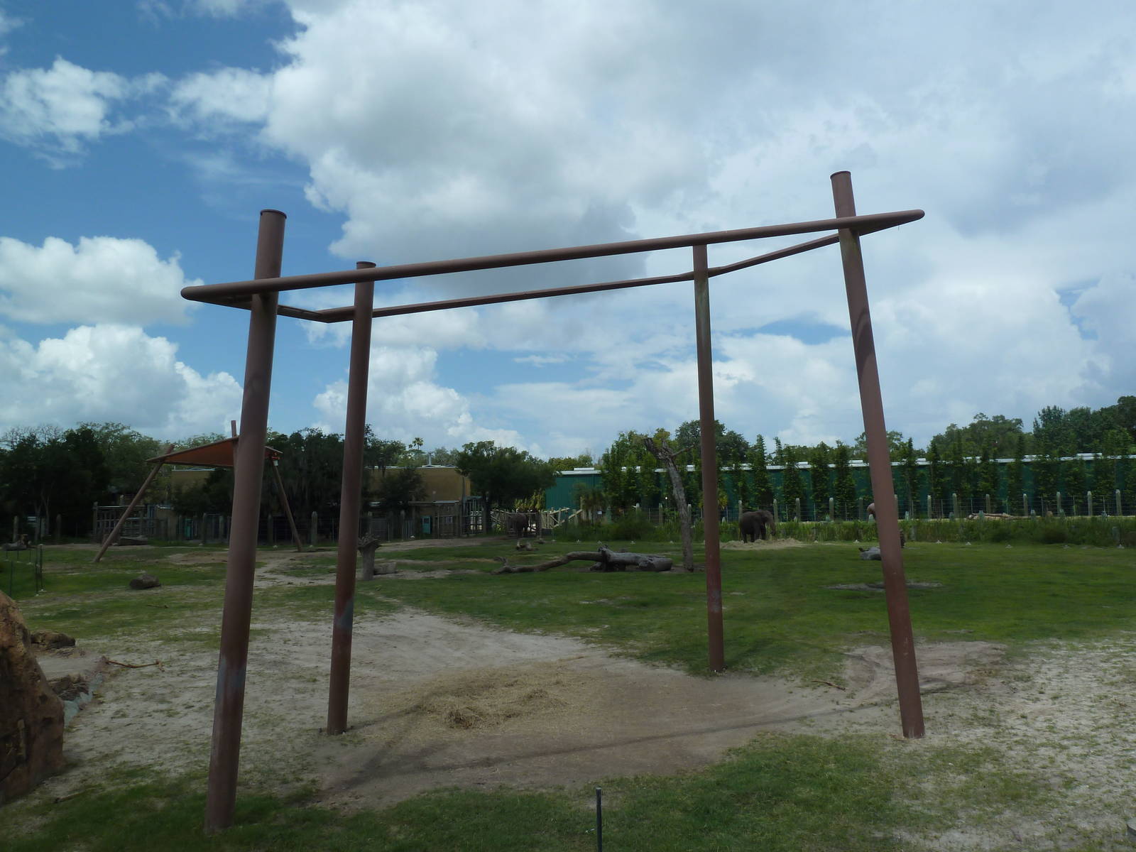 Safari Africa - Elephant/Impala Exhibit