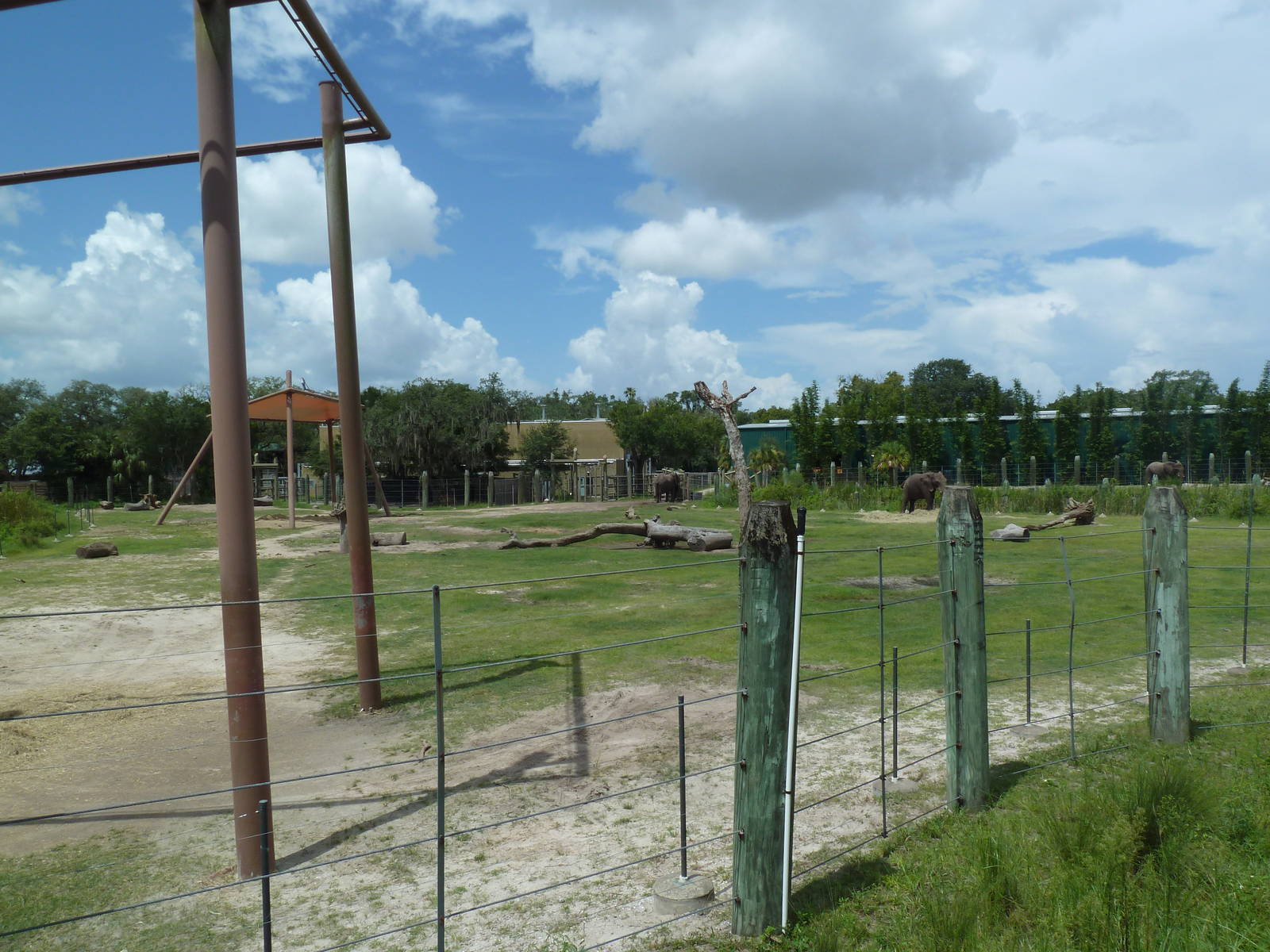 Safari Africa - Elephant/Impala Exhibit