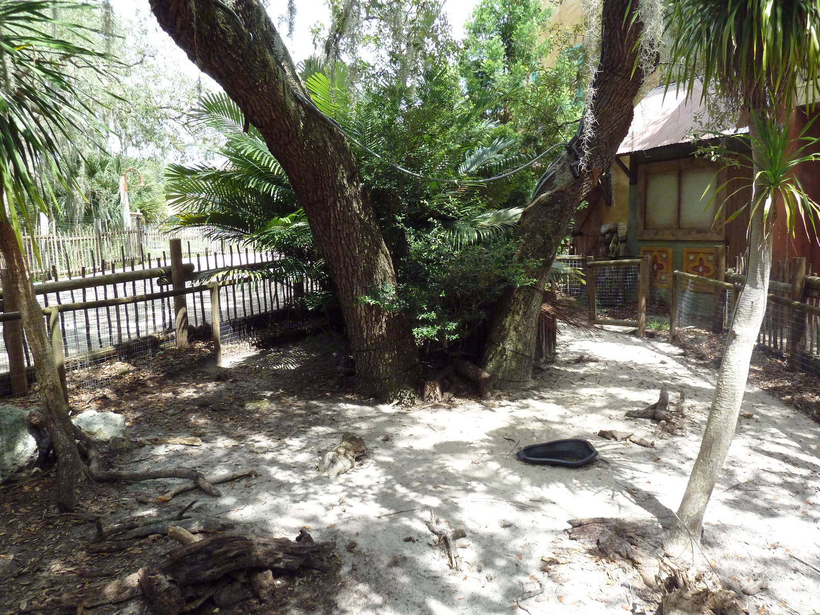 Safari Africa - Radiated Tortoise Exhibit