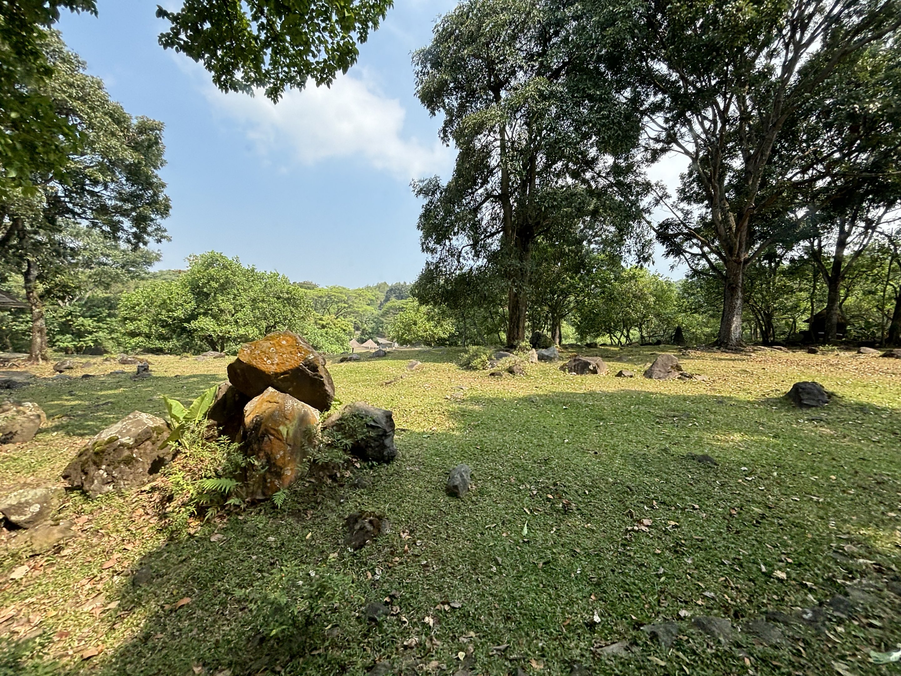 Safari - African Savanna