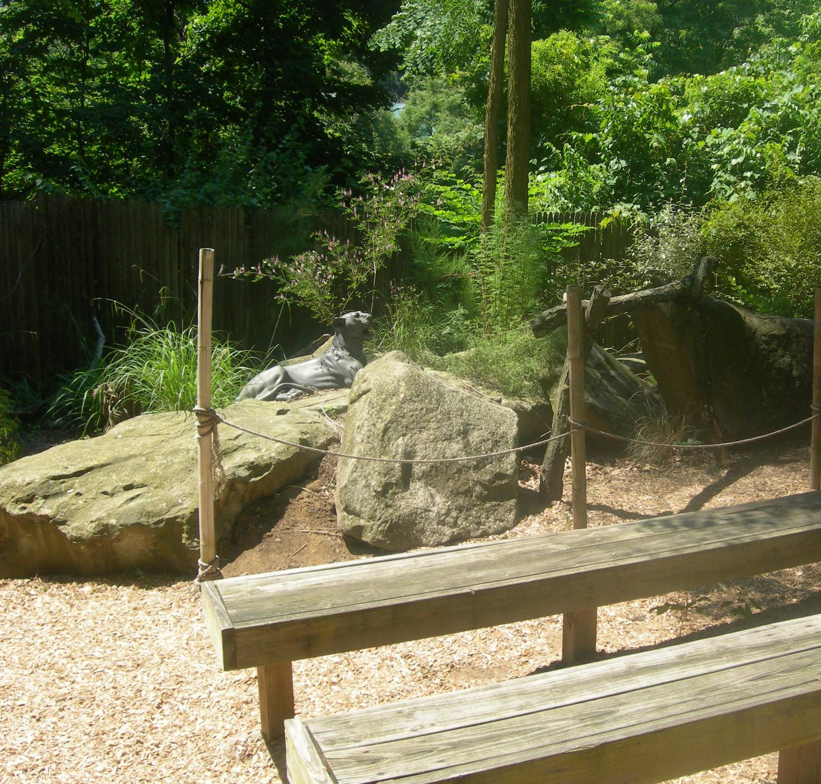 Safari Amphitheater in zoo