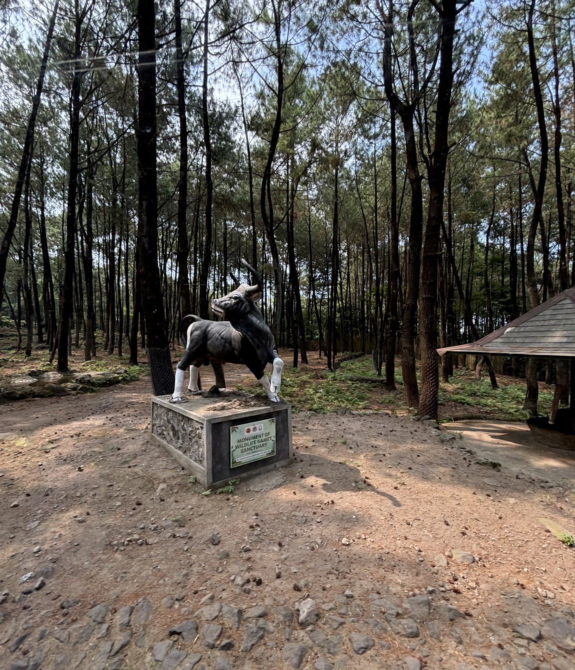 Safari - Asian Hoofstock Zone