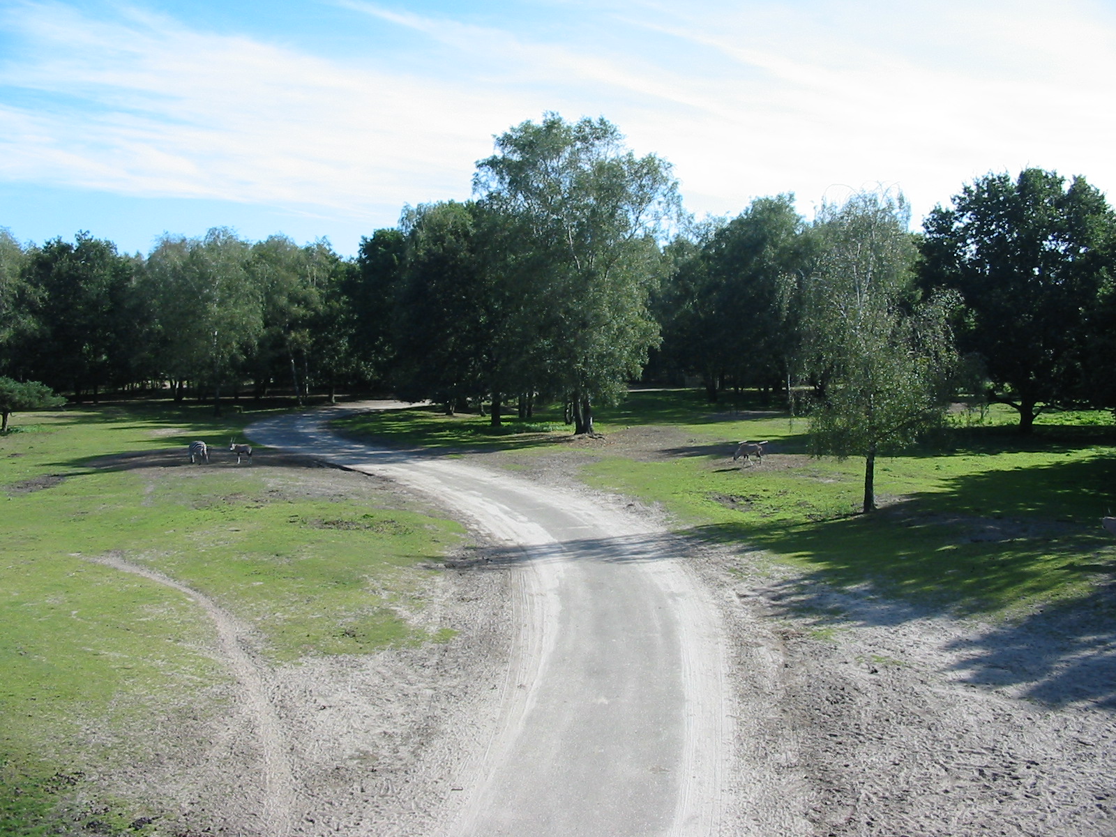 Safari Beekse Bergen 2004 - General view